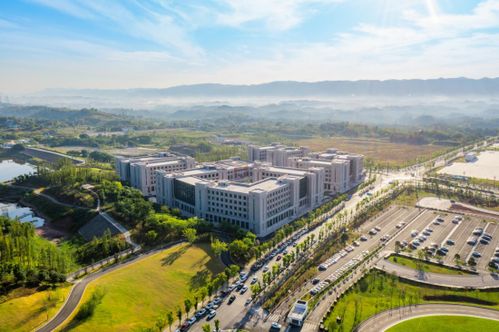 沙坪壩 四個重大 賽馬比拼 抓好 重大改革 向改革要動力 要活力 要效益